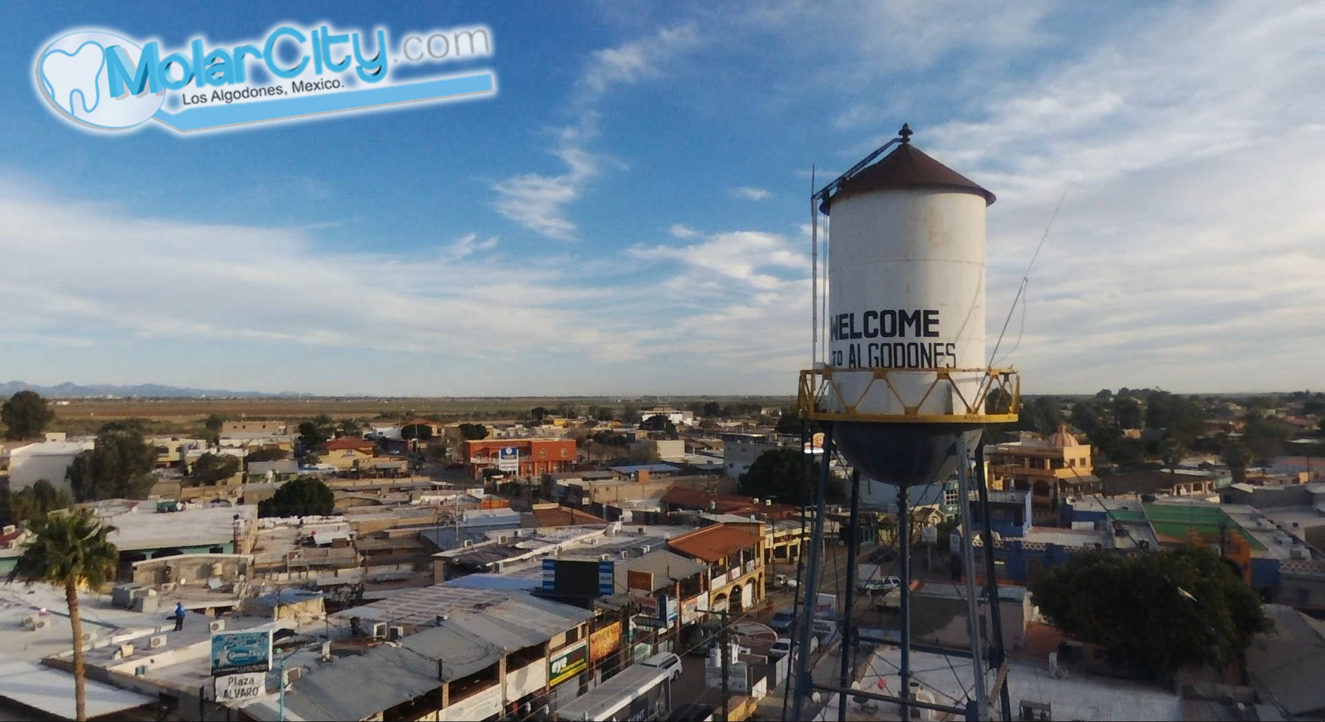 Molar City