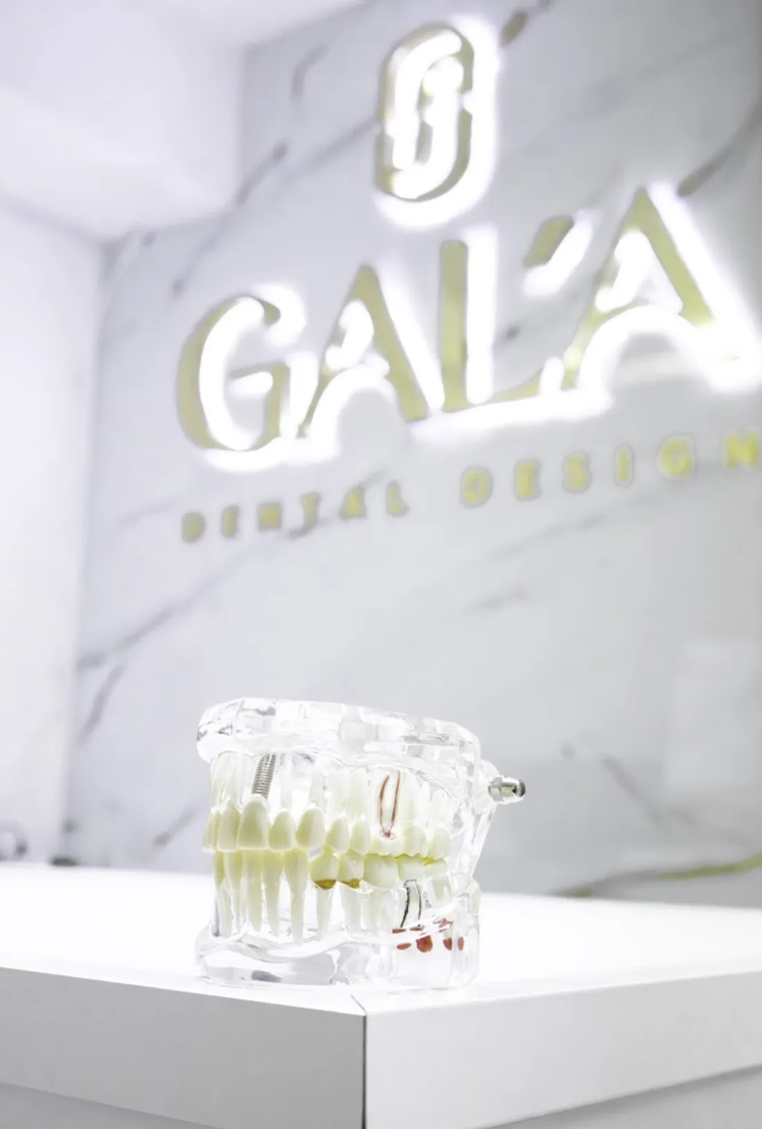 Dental model