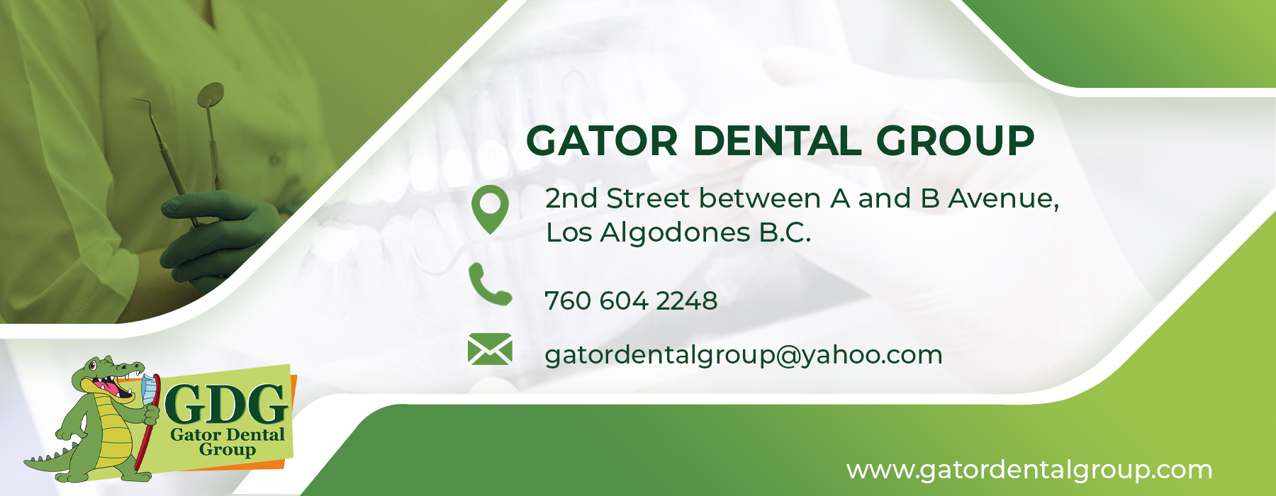  Gator Dental Group